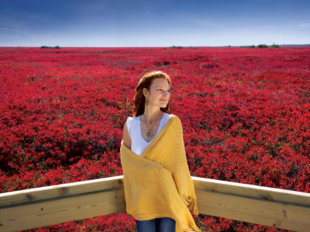 Seven Strategies to Fuse Emotional Resonance with Restorative Nature Encounters