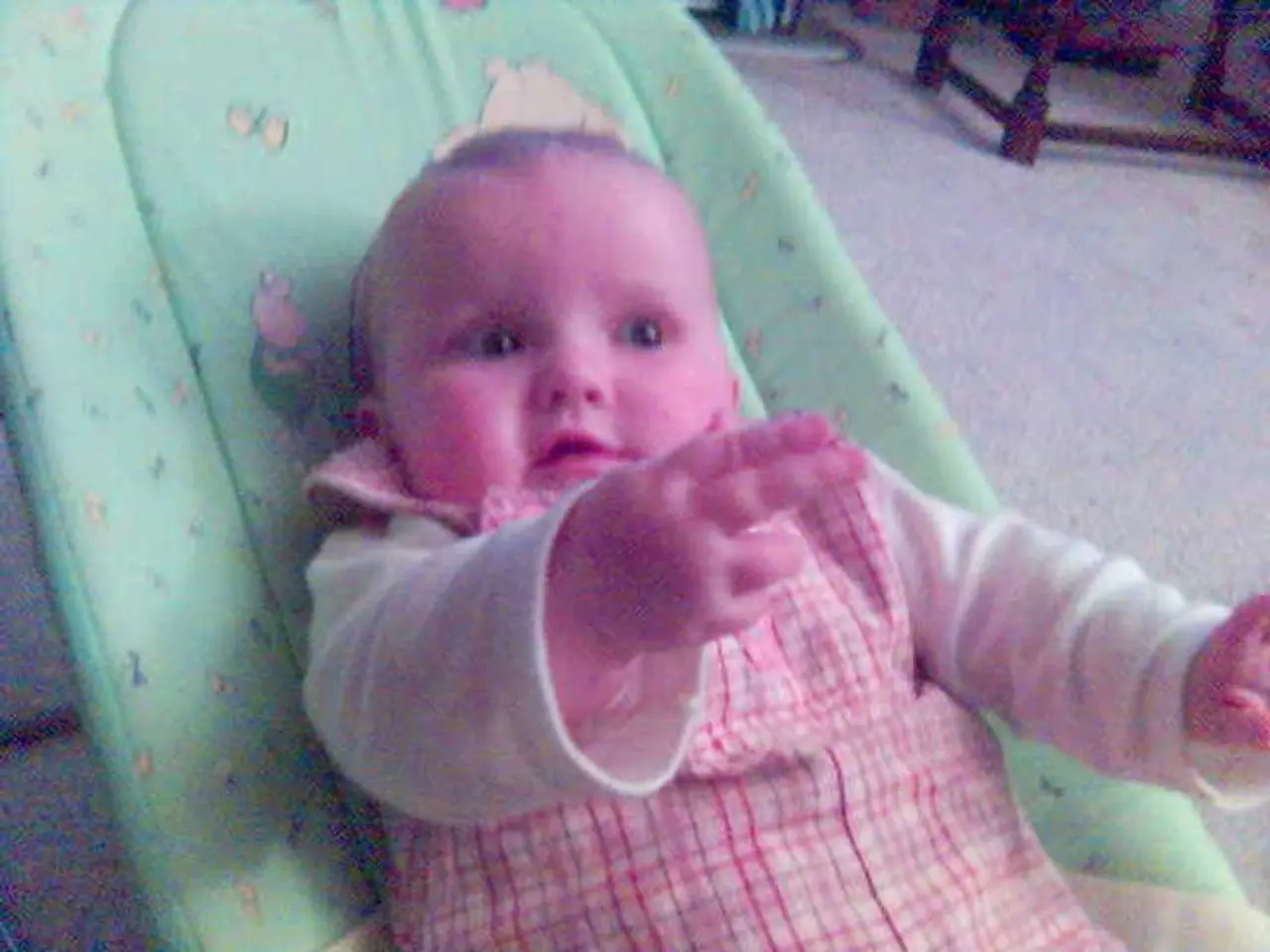 Defects at Birth: Classifications, Origins, and Safeguards