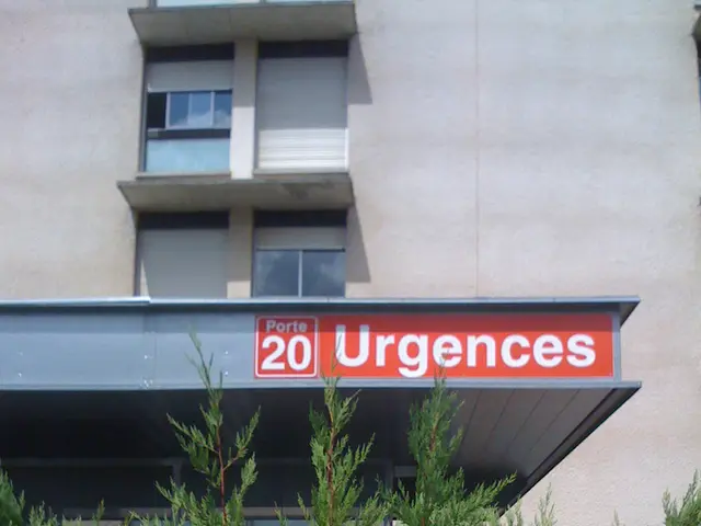 DIY Guide to Constructing a Sealed Terrarium