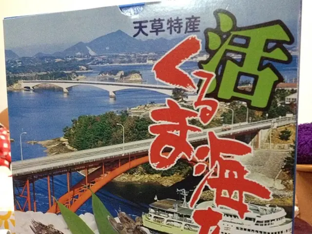 Remarkable Vessel Stands Out Among German Ships