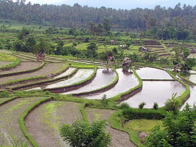 Annual Attraction of 100,000 Tourists to Bodrum's Rural Landscapes via Safari Tours Each Season
