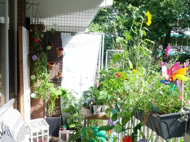 Showcasing Natural Elements: Highlighting Rattan and Jute Textures in Home Decor