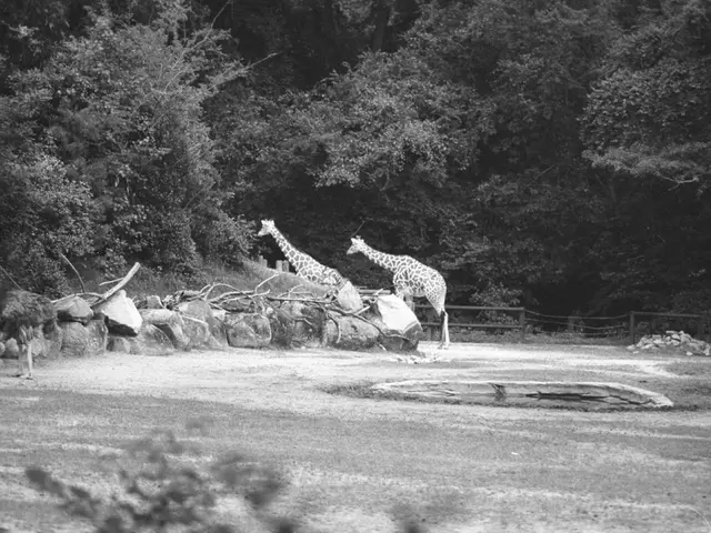 Explore the Historical Wonders of Harpers Ferry National Park!