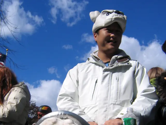 Comprehensive overview of airline policies for pets and service animals - A crucial guide for...