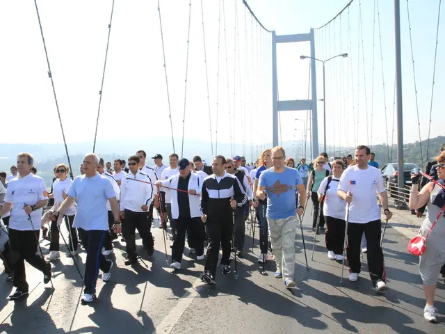 Introduced Fines for Unlawful Tour Guides: A Deputy's Explanation