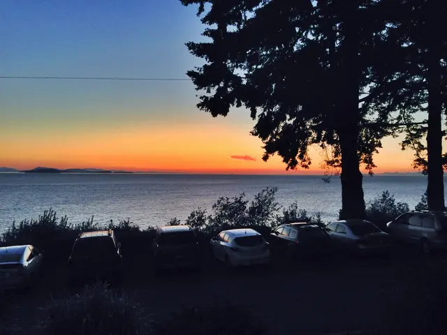 Optimal Visitation Timeframe for Biscayne National Park: Insights from a Resident