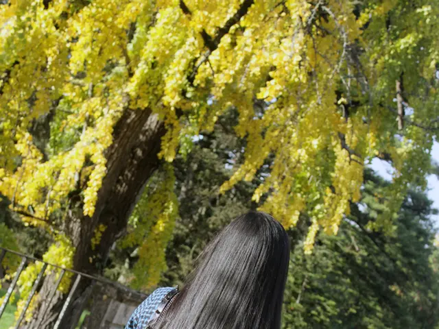 Exploration Thousands of Miles Away (approximately 11,500 kilometers)