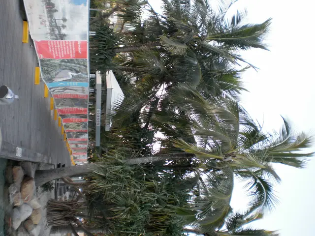 Optimized route calculation using OpenStreetMap pedestrian road networks