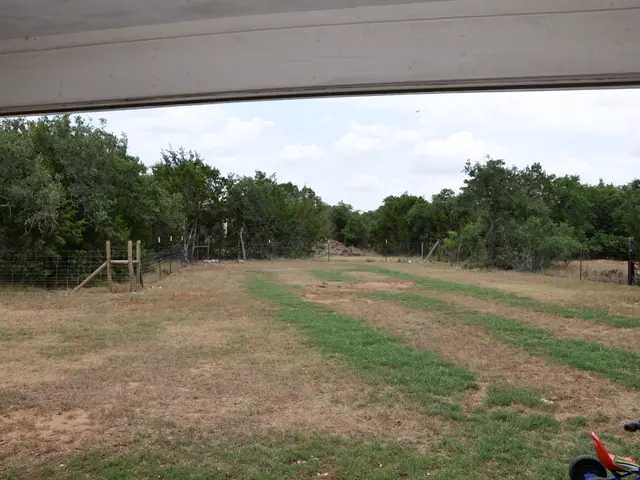 Exploring Motorhomes and Campervans throughout Scotland