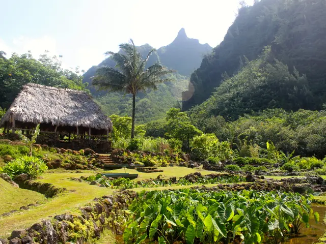 Forward bend discomfort: Reasons and remedies