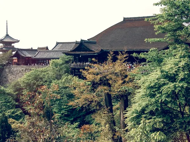 Bonsai Design Improvement: Jin and Shari's Visual Innovation