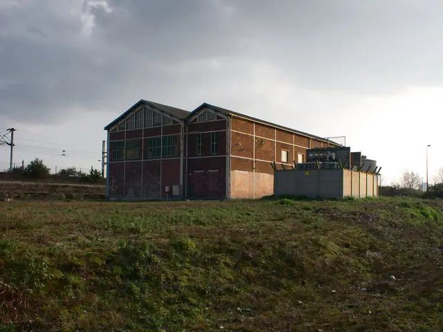 Top 15 Powerful Electric Insect Killers for Your Outdoor Space in 2025 - Shoo Away Annoying Flies...