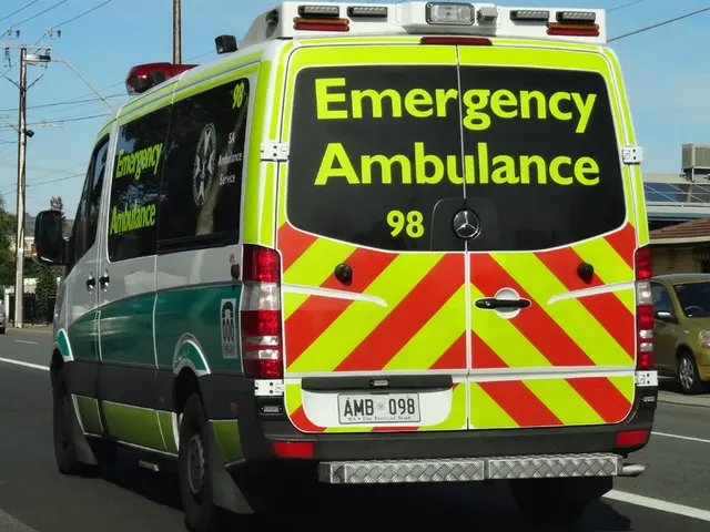 Top Advice for a Secure and Enjoyable Summer Journey by Car