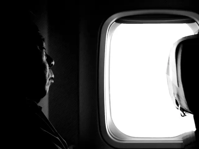 Airline Passenger's Questionable Behavior Triggers Online Discussion Among Netizens Regarding...