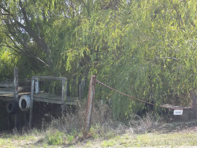 Top-Rated Folding Garden Saws of 2025: Comprehensive Assessments & Selection Highlights