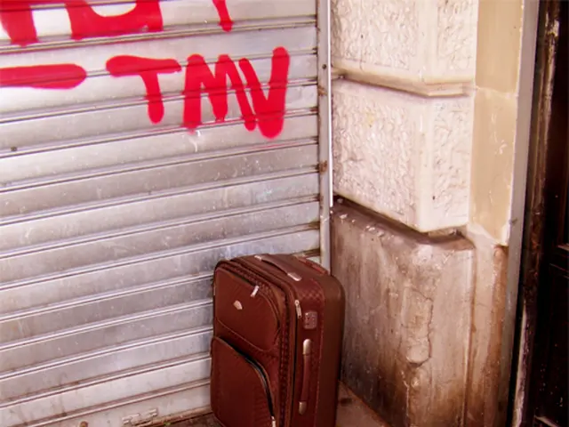 Transformed travel bag from Target, affectionately dubbed "Suitcase in Backpack Form," elegantly...