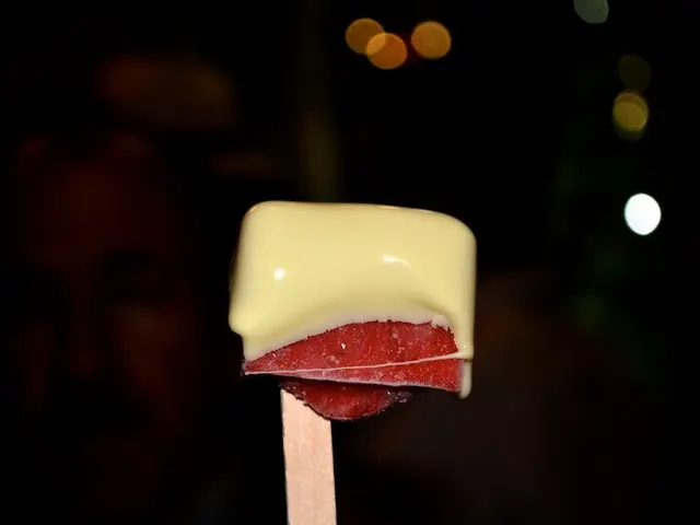 Top Hotels to Rest in Cancun, Mexico (Recommended Accommodations)