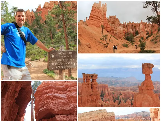 The Significance of Recollection in the Woods: The Insufficiency of Raw Nature Alone