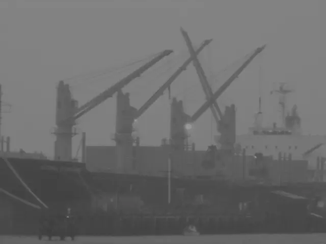 Rapid Expansion in AI Marine Market Shows Increase of 44.8%