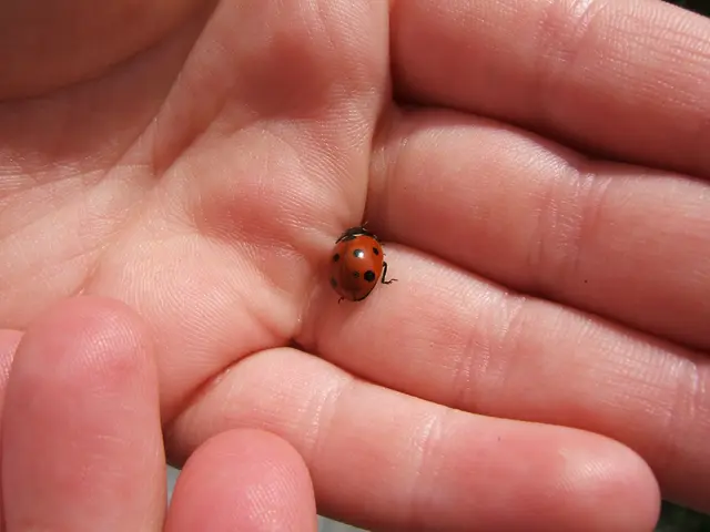 Surgical intervention for Carpal Tunnel Syndrome: Procedures, potential complications, and further...