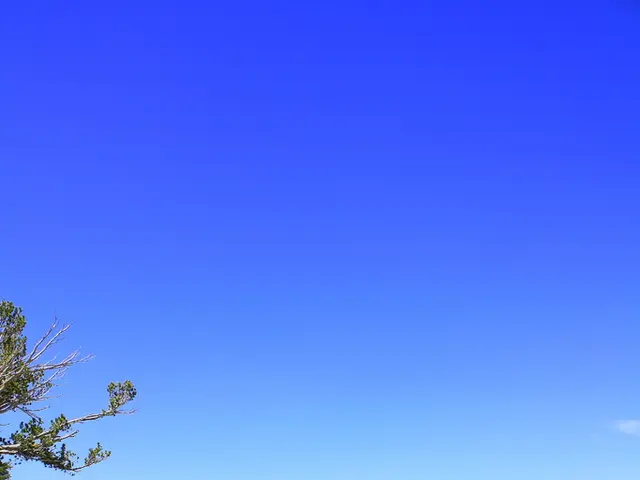 International photography contests are currently up for grabs, running from August until January....