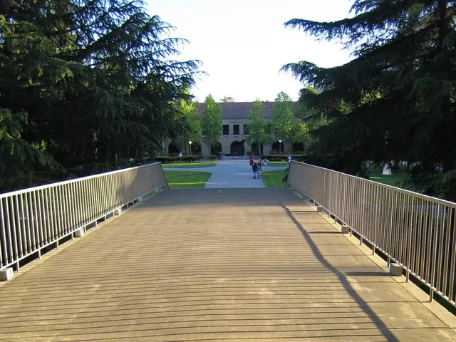 Public access resumption on walkways and bridges