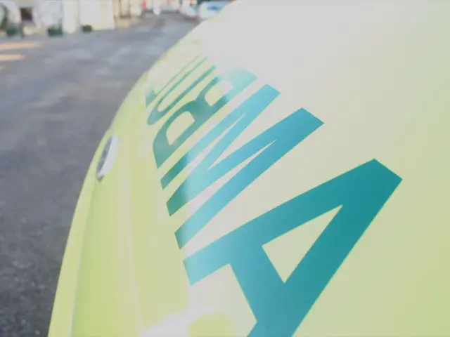 Transplantation of Bone Marrow for Acute Myelogenous Leukemia: Life Expectancy, Hazards, and Added...