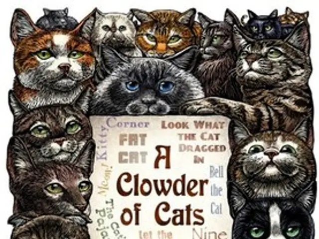 Rabies vaccine distribution resumes in Primorye region