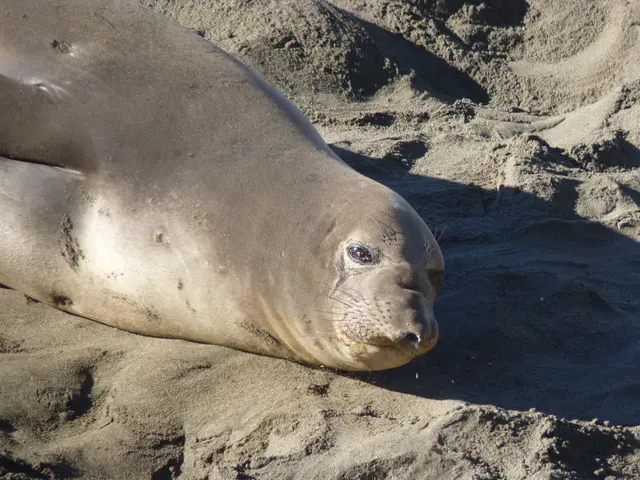 "What's the Truth About Earthing? Here's What We've Discovered"
