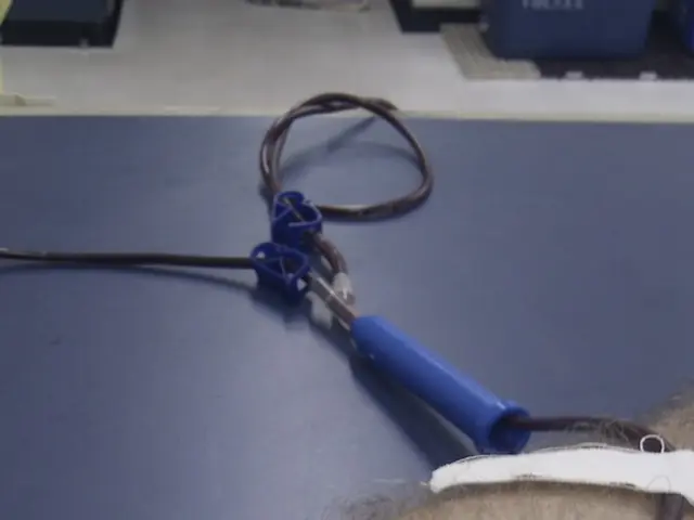 Exploring Thyroid Health: Delving into Thyroid Gland Inspections