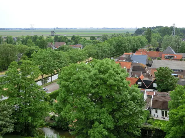 Overcrowded windmill-centered Dutch hamlet causes tourist overload controversy