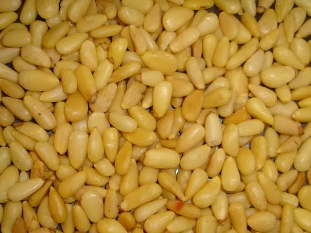 Recalcitrant Celiac Disease: Information, Symptoms, and Beyond