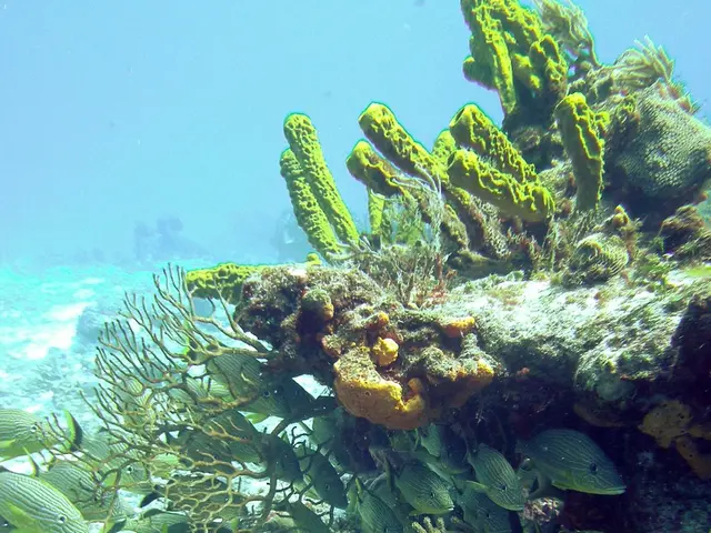 Bare, sandy wasteland in a sky-dominated landscape