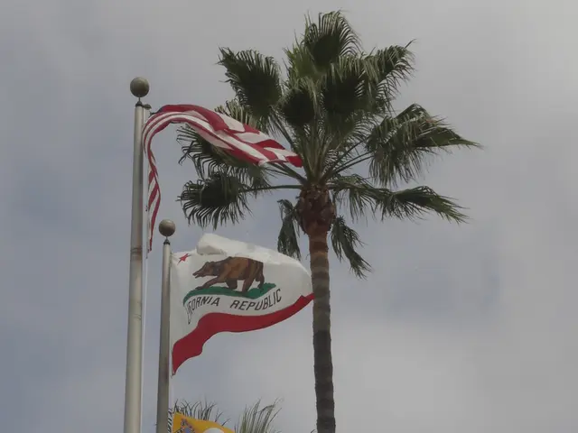 Potential reasons for seasonal allergies appearing more severe after recovering from COVID-19.