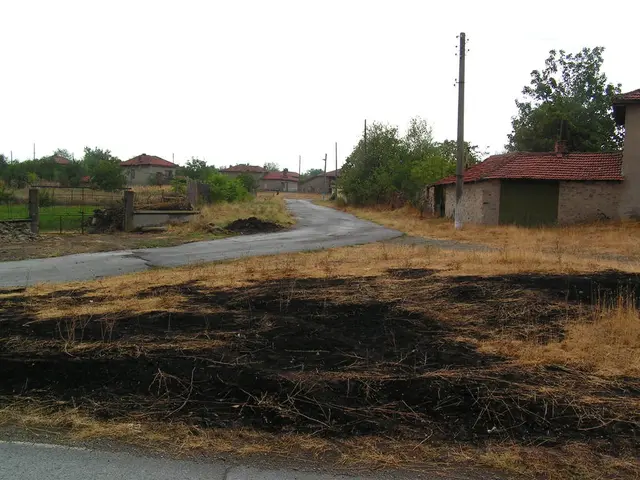 Scenic Summer Retreats: Top 10 Scandinavian Country Homes