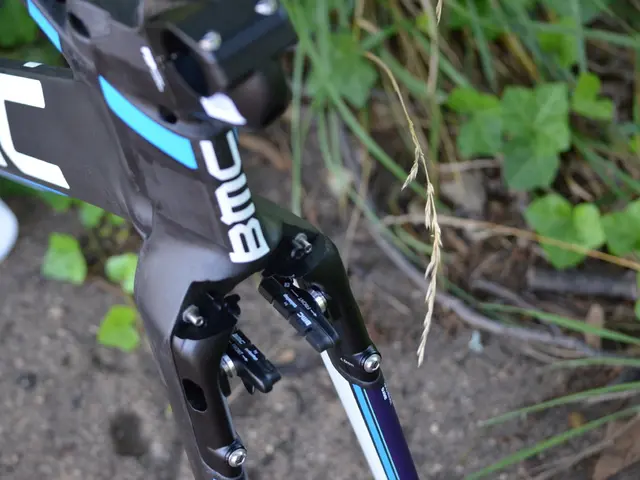 Unveils a stunning cycling journey alongside the Po River, revealing hidden treasures all the way...