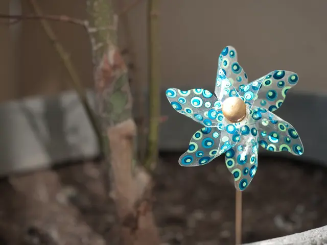 Heritage and Whimsical Allure of Japanese Wind Chimes During the Summer Season