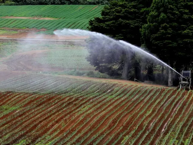 Transform Farming and Boost Earnings: Innovative Agricultural Business Strategies Today