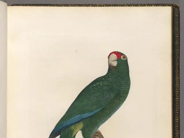 Venture into the uncharted territory