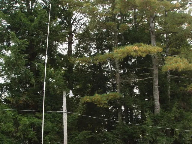 Prospective purchaser of a 2010 Elddis Xplore 302 camper van