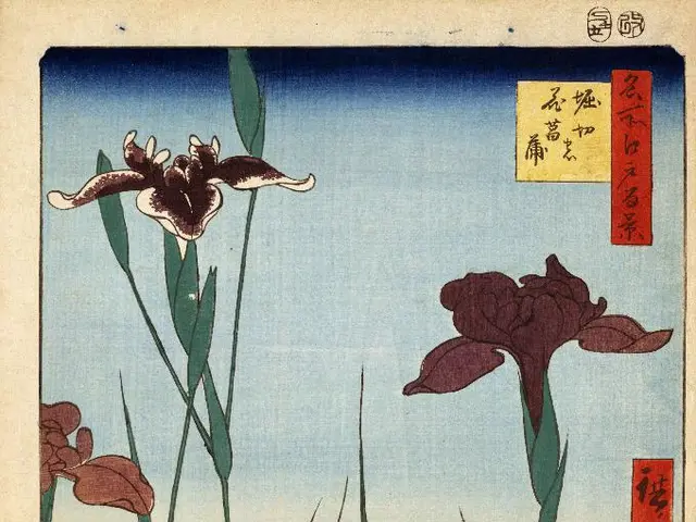 Top12 Journals Perfect for Recording Outdoor Nature Findings that Instill Awe and Puzzle