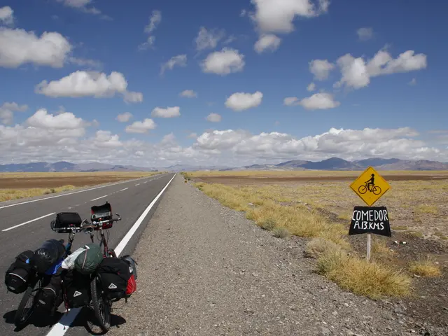 In this image in the center there are bicycles and on the bicycle there are bags. On the right side...