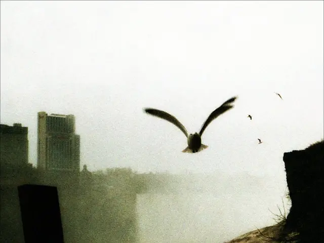 This picture shows few birds flying and we see water and few buildings and a cloudy sky.