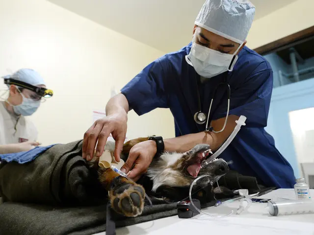 In the image we can see there are two people wearing clothes and face mask. There is even a dog...