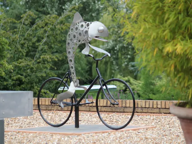 In this picture I can see there is a fish on the cycle and it placed its feet on the paddle and...