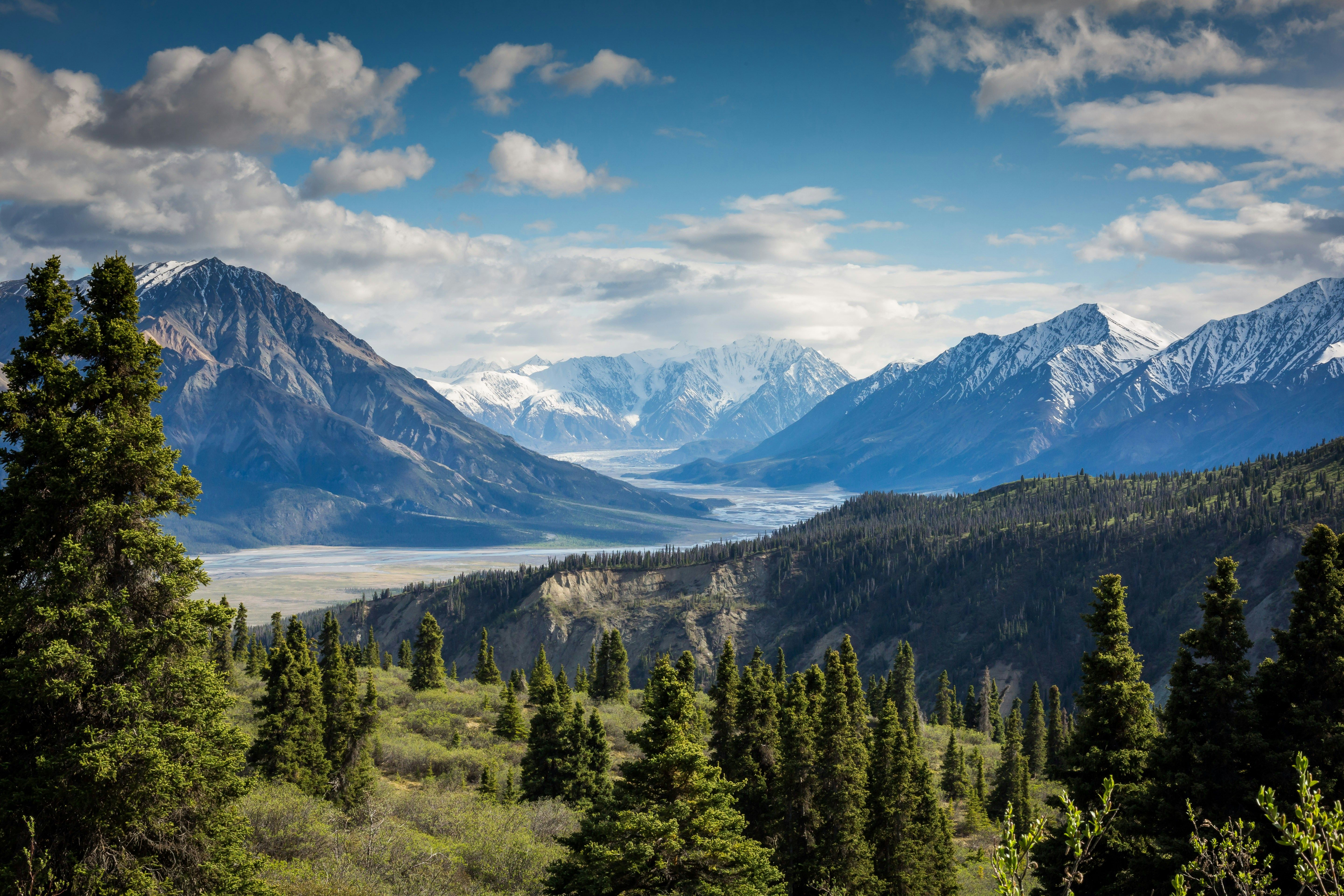 Subject racially profiled at convenience store, alleges bias by employees Spend a thrilling day gliding through the foliage of Kaikoura, taking in the breathtaking panorama of the Pacific Ocean from above. This region's natural beauty is nothing short of awe-inspiring.